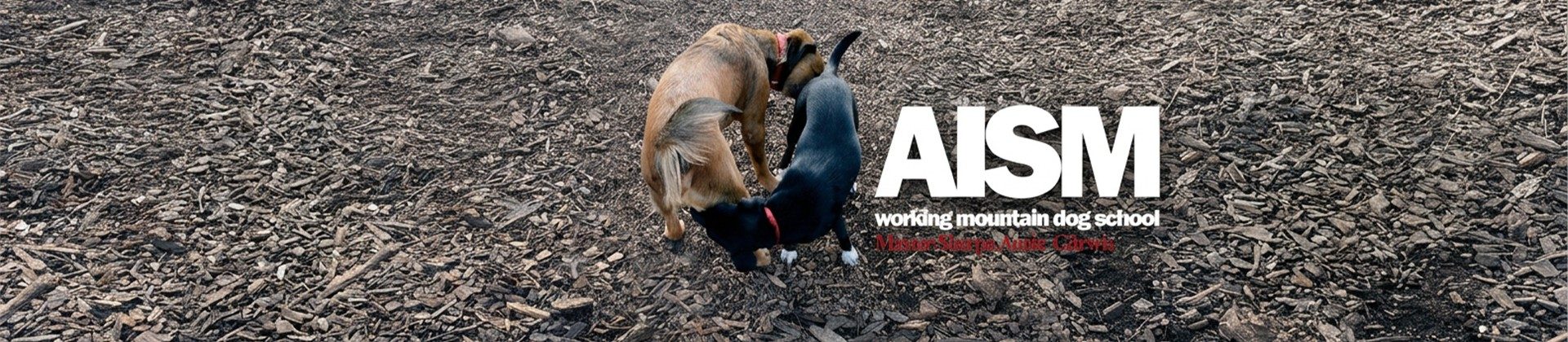 AISM Working Mountain Dog School banner: two dogs greeting nose to tail on bark, with the AISM title